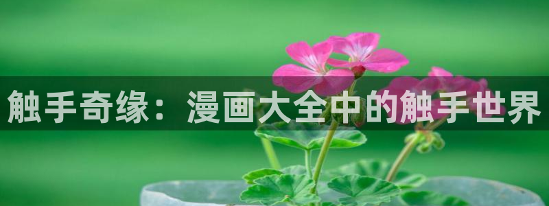 虫虫漫画韩国免费阅读网页版入口