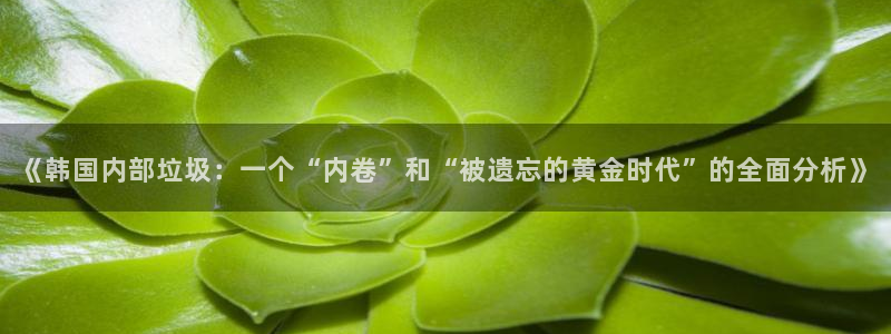 给大家科普一下虫虫漫画：《韩国内部垃圾：一个“内卷”和“被遗忘的黄金时代”的全面分析》