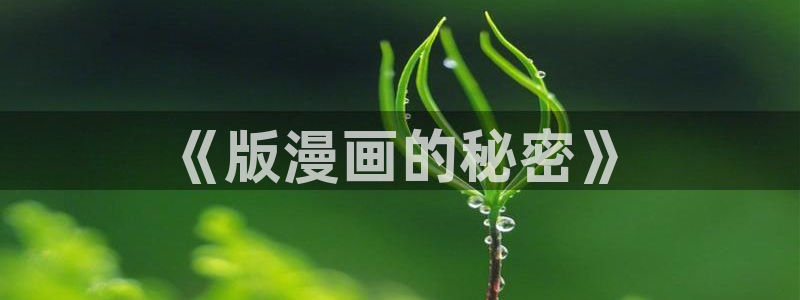 动画片虫虫：《版漫画的秘密》