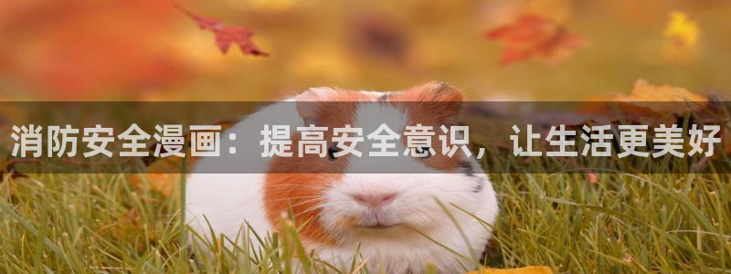 虫虫漫画怎么进入
