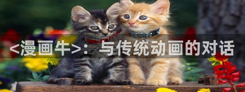 虫虫漫画观看页面漫画