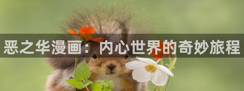 虫虫韩漫网站：恶之华漫画：内心世界的奇妙旅程
