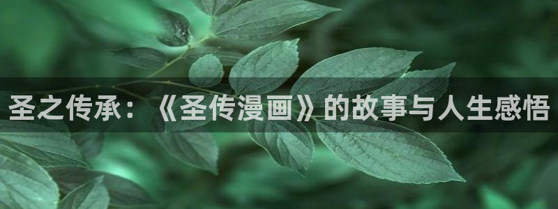 虫虫漫画免费漫画页面在线看漫画免费观看：圣之传承：《圣传漫画》的故事与人生感悟