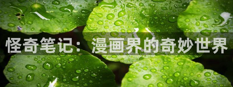 虫虫漫画阅读网页：怪奇笔记：漫画界的奇妙世界