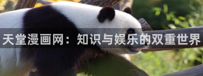虫虫漫画在线观看页面弹窗免费阅读：天堂漫画网：知识与娱乐的双重世界