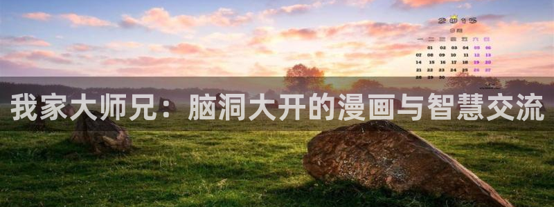 虫虫漫画韩漫在线观看：我家大师兄：脑洞大开的漫画与智慧交流