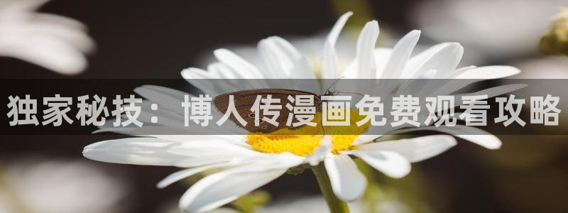 虫虫漫画入口网站