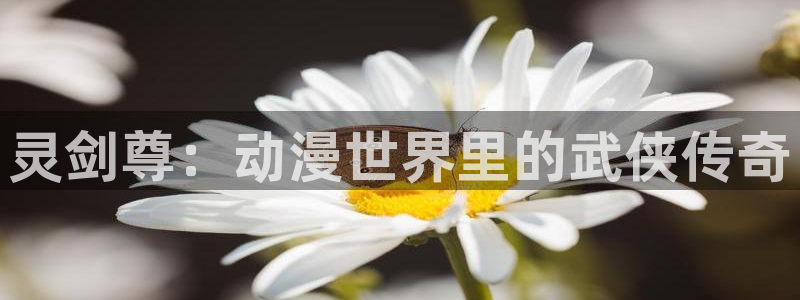 虫虫漫画妖精漫画