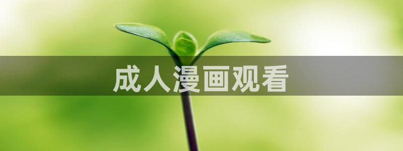 虫虫漫画页面免费漫画在线观看