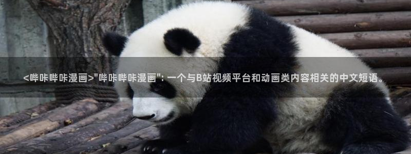 虫虫漫画主页：<哔咔哔咔漫画>\