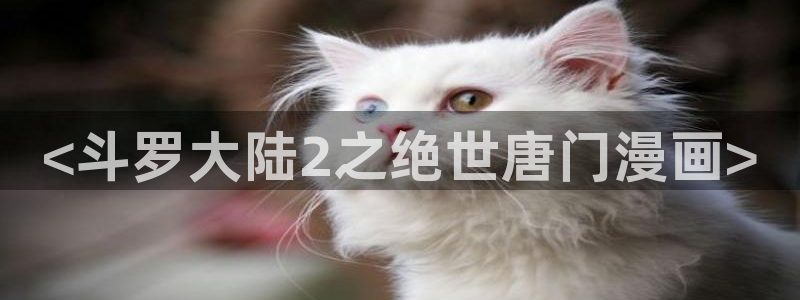 虫虫漫画在线页面免费漫画：<斗罗大陆2之绝世唐门漫画>