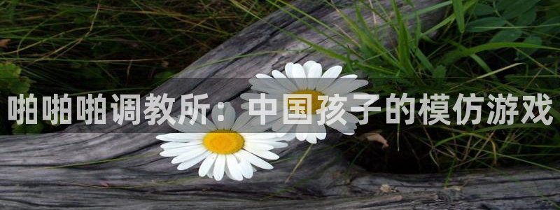 虫虫影视论理：啪啪啪调教所：中国孩子的模仿游戏