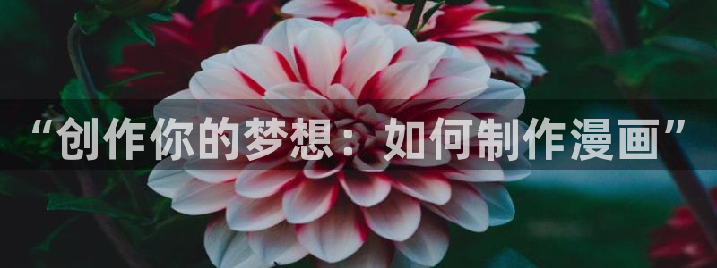 虫虫漫画免费漫画入口页面在线：“创作你的梦想：如何制作漫画”