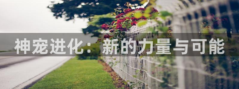 虫虫漫画海量：神宠进化：新的力量与可能