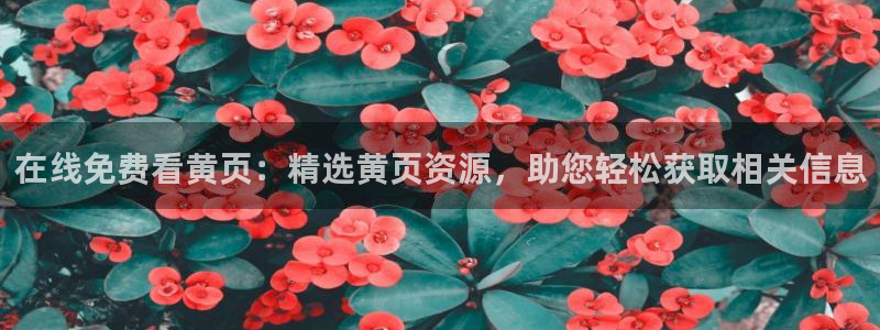 虫虫漫画在线阅读页面免费漫画入口：在线免费看黄页：精选黄页资源，助您轻松获取相关信息
