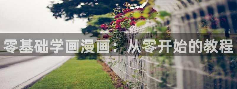 虫虫韩漫网站：零基础学画漫画：从零开始的教程