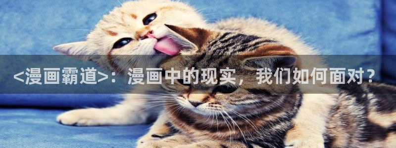 虫虫漫画正式版