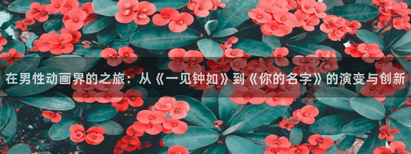 虫虫漫画登录：在男性动画界的之旅：从《一见钟如》到《你的名字》的演变与创新