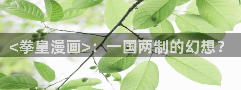 虫虫漫画解说：<拳皇漫画>：一国两制的幻想？